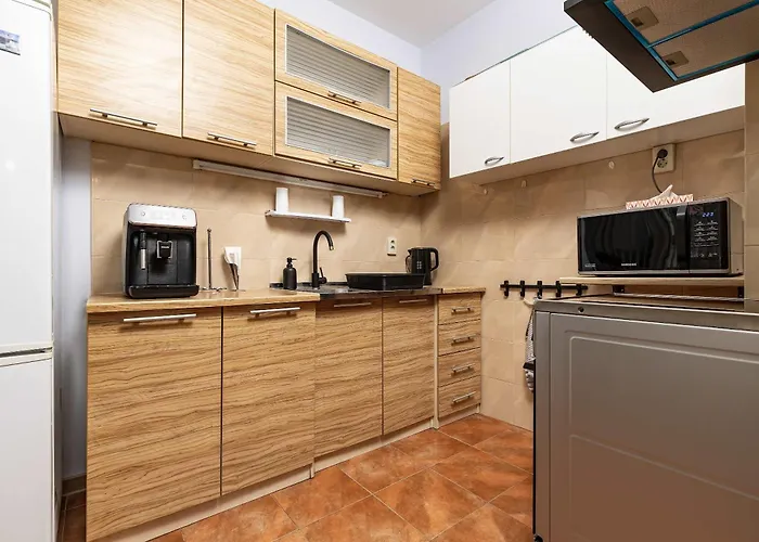 別荘 Cozy Floor From A House Near The Center By Flat Mаnager プロヴディフ